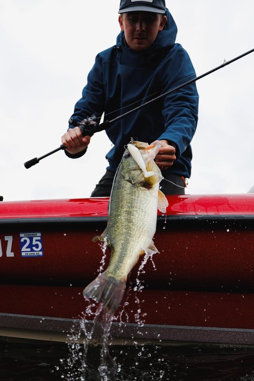 Berkley PowerBait® CullShad Fishing Bait, Albino, 6 in, Soft Swimbait, Equipped with Fusion19™ Hook, Smart Weighting System