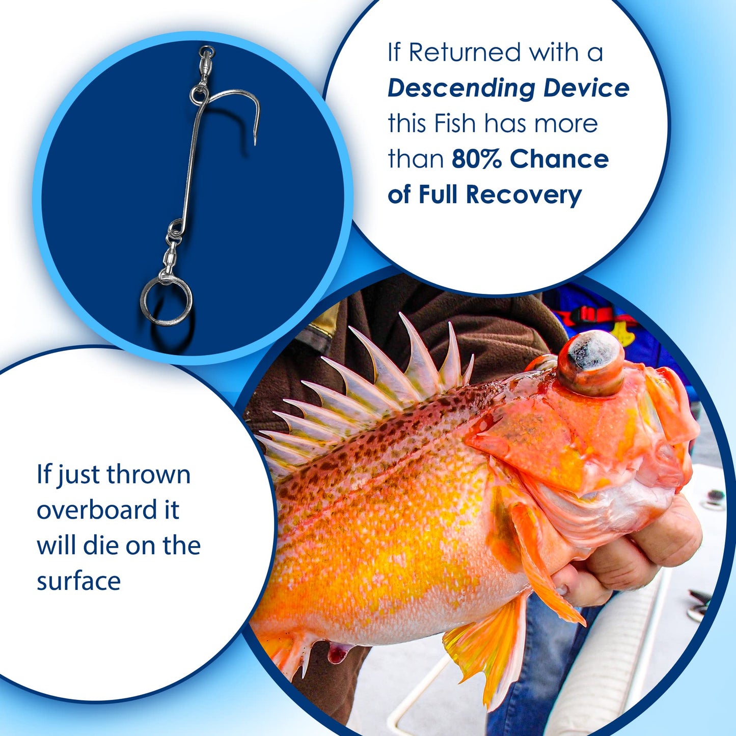 Fishsaverpro Fish Descending Return Device - 2 Pack- Compact & Reliable Release Device Built for Long Life. No Mechanical Release to Fail. Great for red Snapper. Unlike Venting Tools NOAA Preferred.