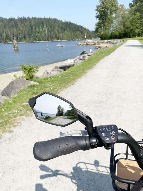 Hafny 2024 New Handlebar Bike Mirror, HD Glass Lens, Adjustable & Rotatable Safe Rearview Bicycle Mirror, Blast-Resistant, HF-M6002-FR053 (Silver Left Side)