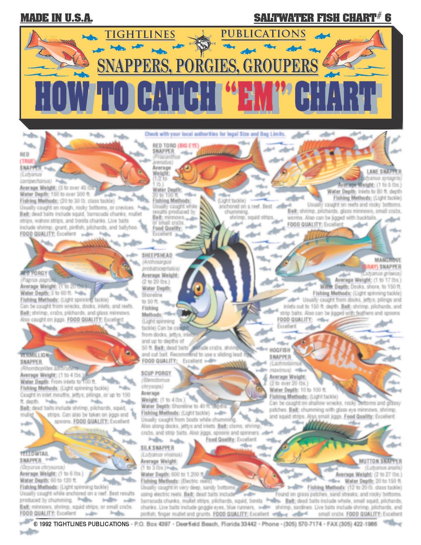 Fishermen's Saltwater Fish Identification Set - Waterproof Quick Reference Guide | Portable & Built to Last | Double-Sided & Easy to Read