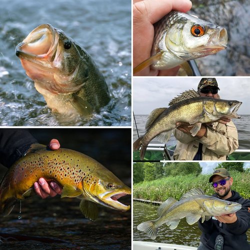UNYLE Silicone Jig Skirts, 10 Bundles Bass Fishing Jigs Spinnerbait Skirts Replacement, Fishing Lure Skirt for Squid Jig Spoon Blade Buzzbaits Spinner Bait