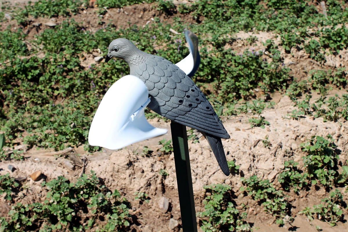 MOJO Outdoors Dove Hunting Decoys and Accessories – (Choose Style)