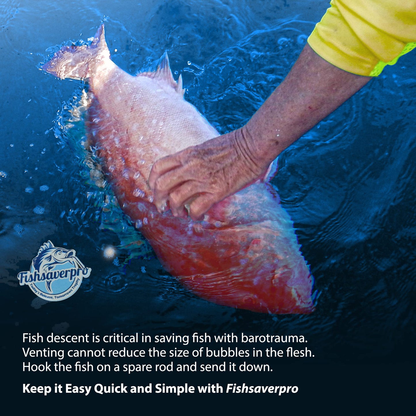 Fishsaverpro Fish Descending Return Device - 2 Pack- Compact & Reliable Release Device Built for Long Life. No Mechanical Release to Fail. Great for red Snapper. Unlike Venting Tools NOAA Preferred.