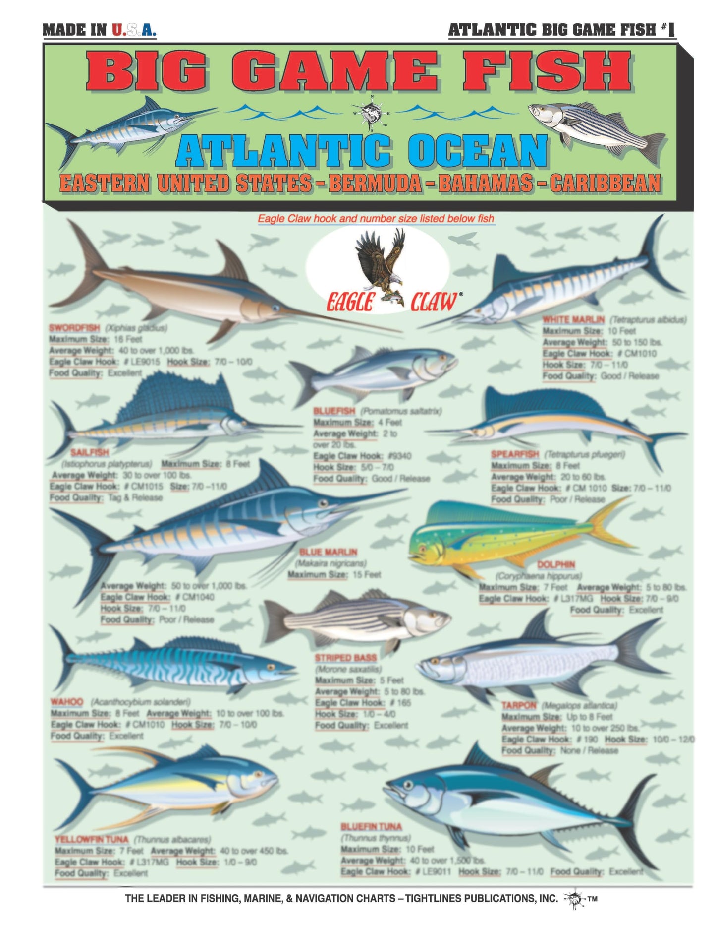 Fishermen's Saltwater Fish Identification Set - Waterproof Quick Reference Guide | Portable & Built to Last | Double-Sided & Easy to Read