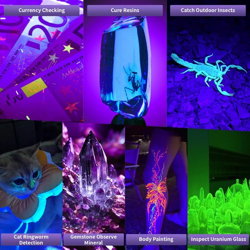 Rechargeable UV Black Light, 60W 5000mAh Dimmable UV Light, 100 LED 395nM LED Ultraviolet Blacklight, for Dog Cat Pet Urine Stains Detection, Bed Bug, Scorpions, Bedroom, Camping, Outdoor