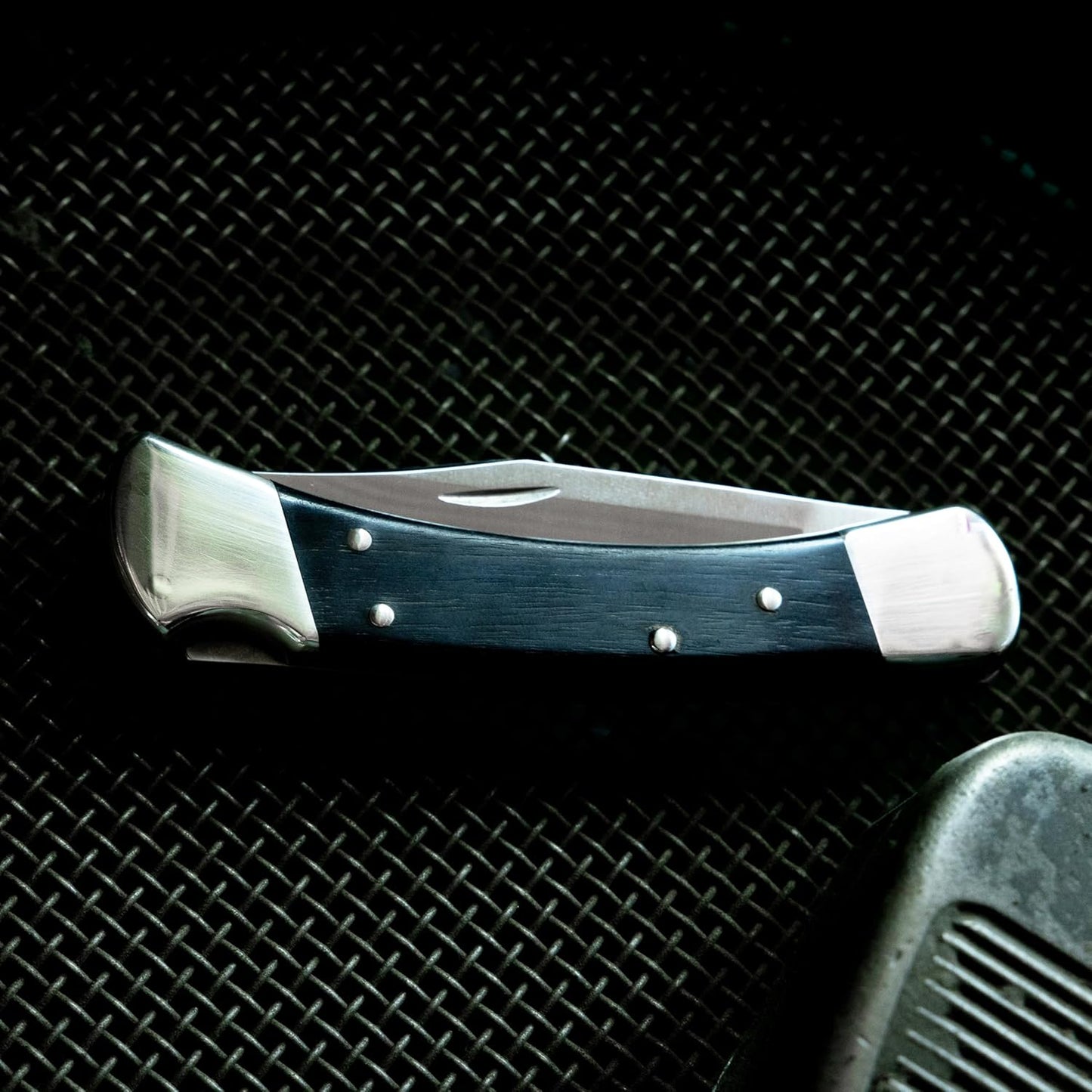 Buck Knives 110 Folding Hunter Lock-back Knife, Brass Bolsters, Ebony Handles, 3-3/4" 420HC Blade with Leather Sheath