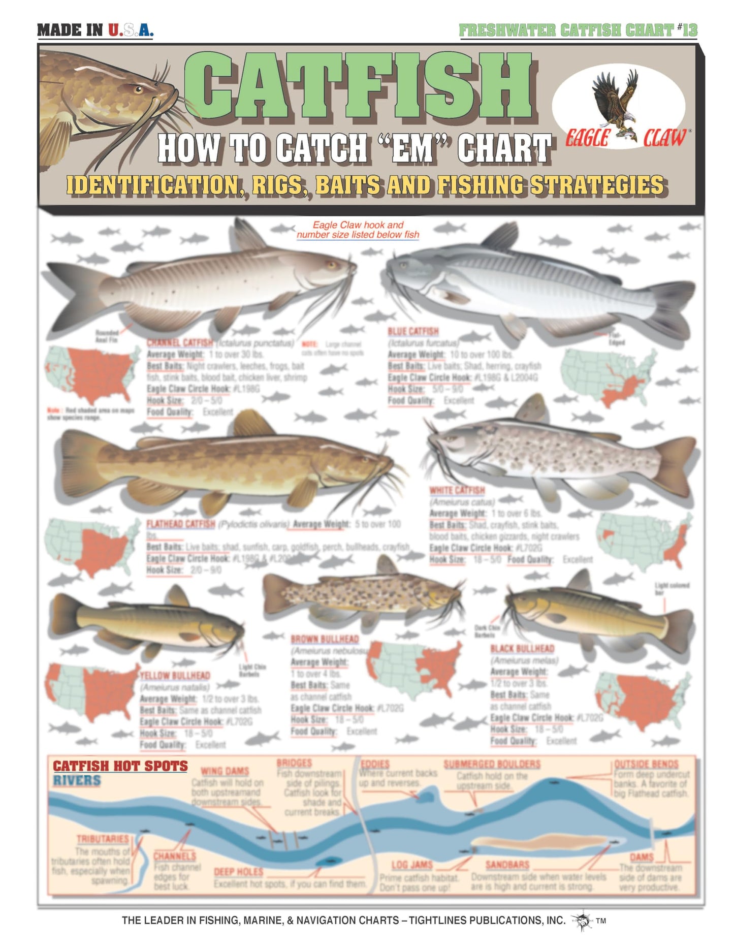 Fishermen's Freshwater Fish Identification Set - Waterproof Quick Reference Guide | Portable & Built to Last | Double-Sided & Easy to Read