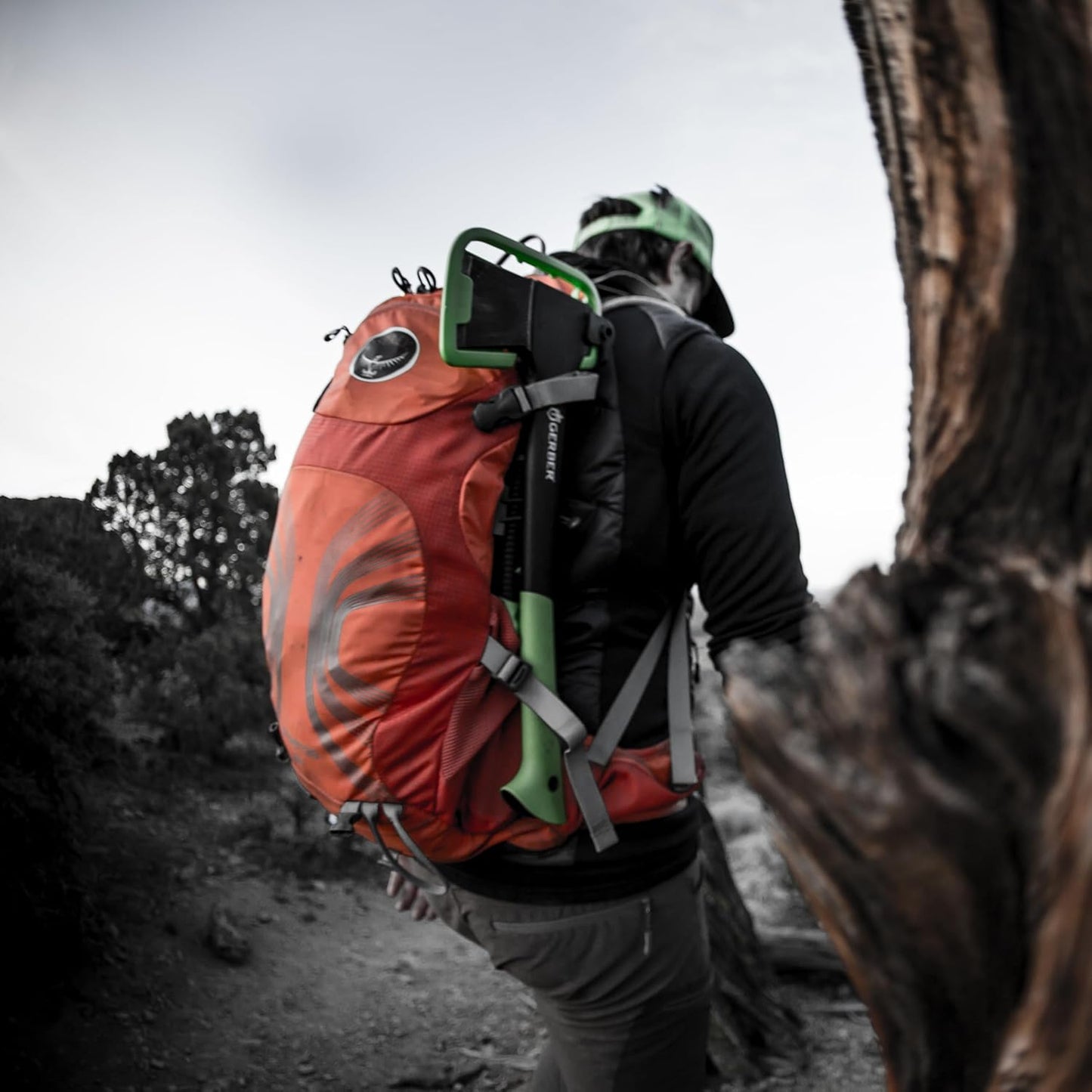 Freescape Hatchet by Gerber Gear | Forged Steel Axe with Sheath for Camping & Survival