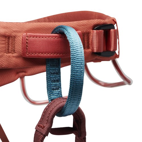 Women's Momentum Climbing Harness by Black Diamond