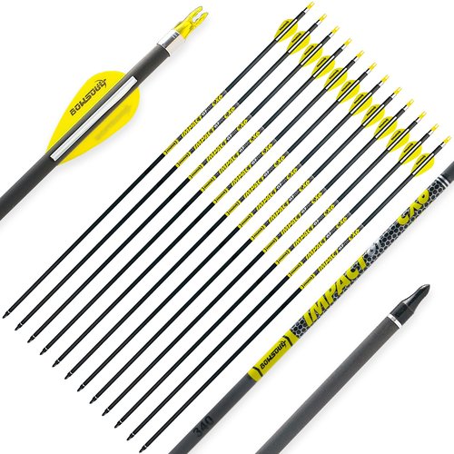 BOWSOUL Carbon Arrows 12pk 100% Pure Carbon Hunting Arrows Target Practice Arrows with Removable Tips for Compound Bow & Recurve Bow (SP300, 30inch)