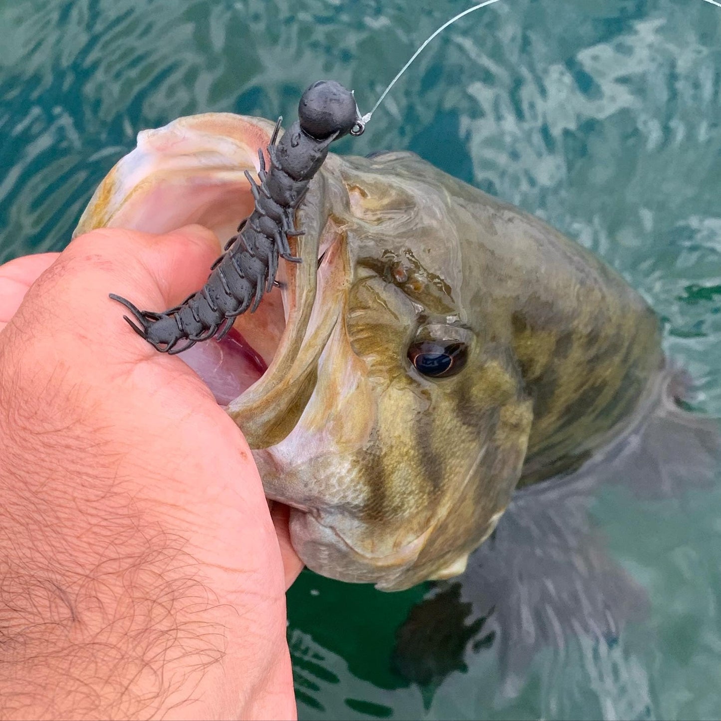 Great Lakes Finesse Juicy Hellgrammite - Matte Black - 2.4"