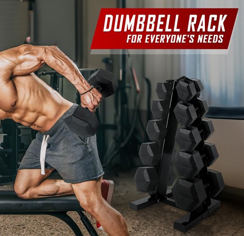 Dumbbell Rack Stand, A-Frame Weight Stand for Dumbbells - Weight Rack for Home Gym (480 LBS Weight Capacity)