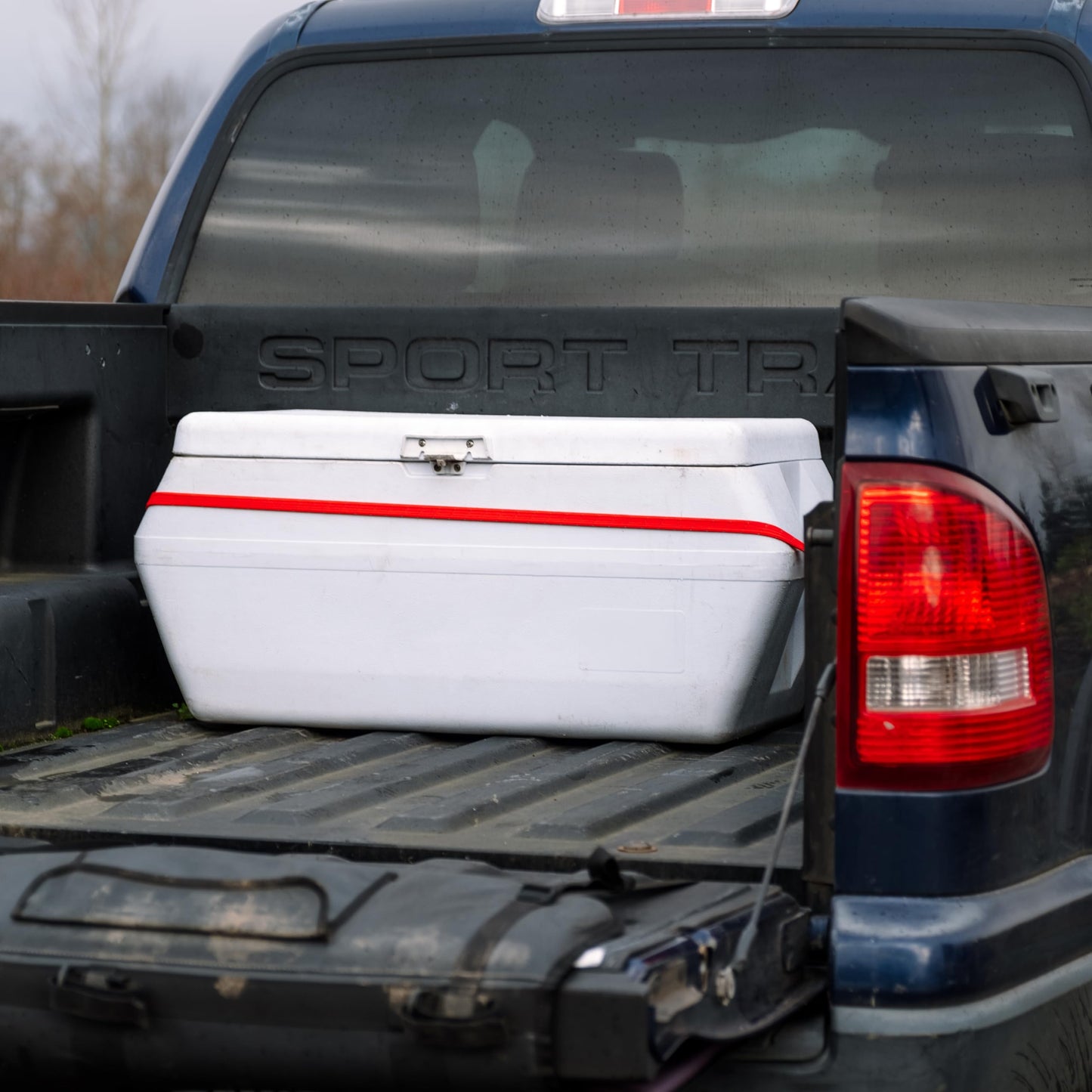 GEAR AID Holdfast Bungee Strap, Organize Your Garage and Gear for Biking, Camping, Hunting, Exercise, Paddling and More, Orange Reflective, Multipack 20-30-40” Lengths