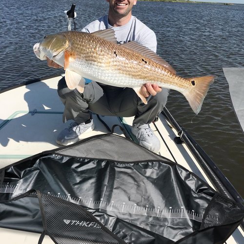 THKFISH Fishing Tournament Weigh in Fish Bag, Fish Weigh Bags Folding Weigh Sling Fish bag Bass Weigh in Bag with Fish Ruler Tournament Fish Bags,47x10.5inch Heavy Duty Fish Transport Bag, Black