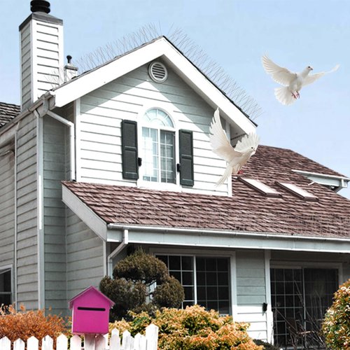 Blocking Little Robin,Easy Installation Bird Deterrent Spikes Use for Balcony Courtyard Outdoor Roof (16.4Feet/300sets spines)