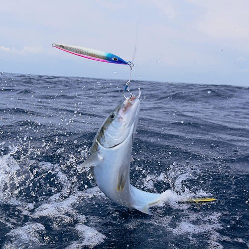 FREGITO Fishing Jigs Vertical Saltwater Jigs Vertical Jigging Spoon Fishing Tuna Lures Boat Fishing Artificial Lures for Tuna, Grouper, Dogtooth, Snapper, Bass, Salmon 3pcs-(120g/150g/180g)