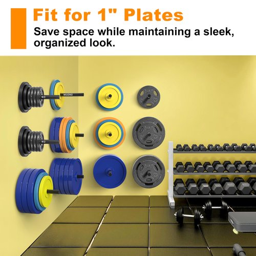 MIUONO Weight Plate Holder for 2" Olympic Weigh Plates and Weight Plate Rack for 1" Plates Bundle