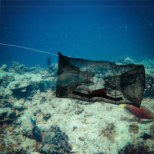 ZENFUN 2 Pcs Fishing Bait Trap, Crab Traps Minnow Traps, Crawfish Trap, Collapsible Net, Foldable Fishing Net Portable Folded Fishing Accessories