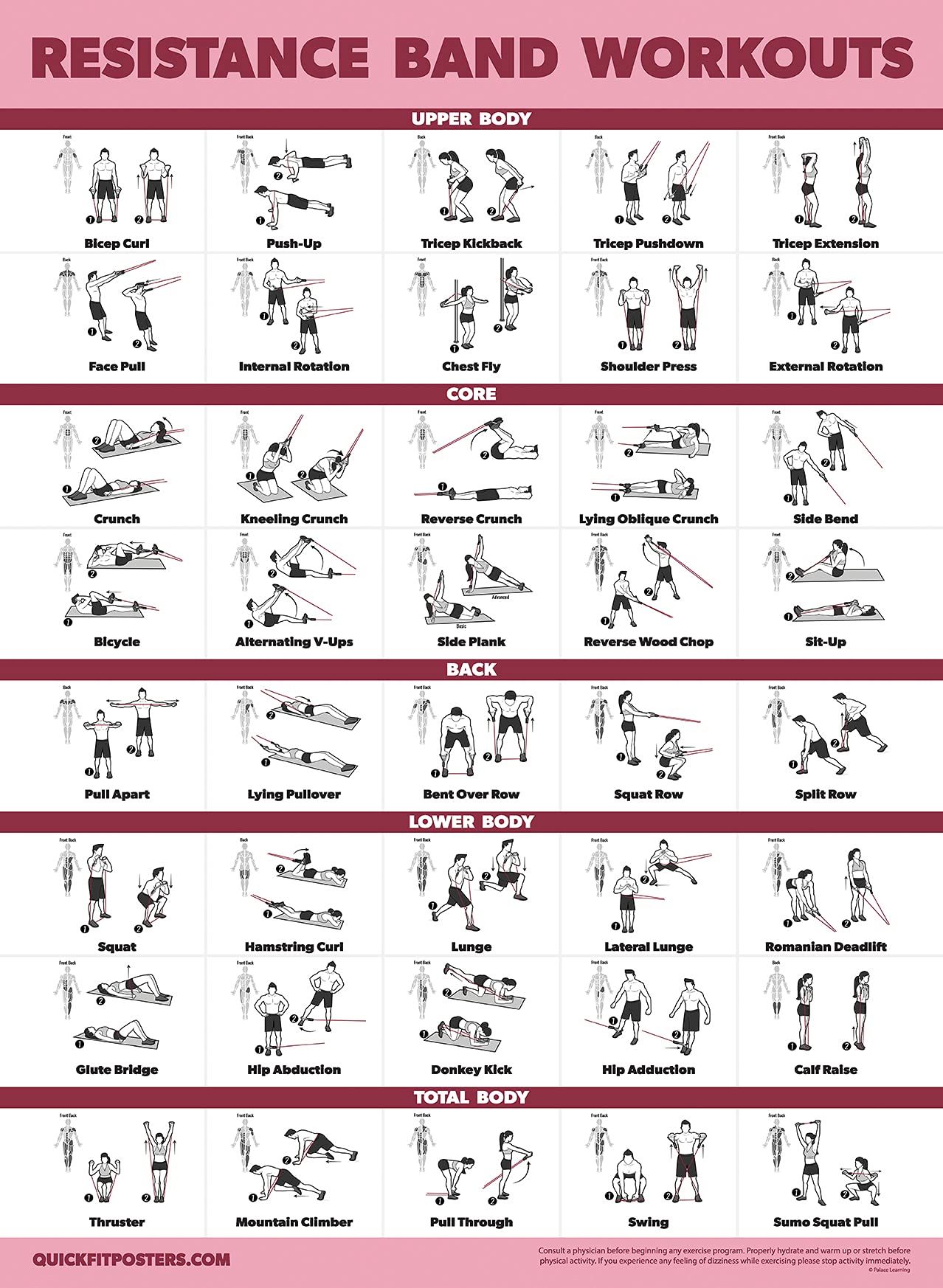 Palace Learning 2 Pack - Resistance Bands and Resistance Loops Workout Posters - Set of 2 Laminated Charts - Resistance Band Tubes and Loops Exercise Charts [Light] (18 x 24, LAMINATED)