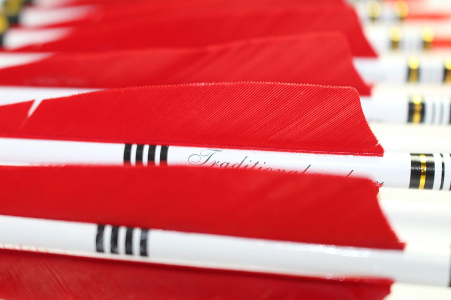 12PCS Red Turkey Feather 31 inches Carbon Arrows Replacement Tips Targeting Arrows Archery for Recurve Longbow Hunting&Practice