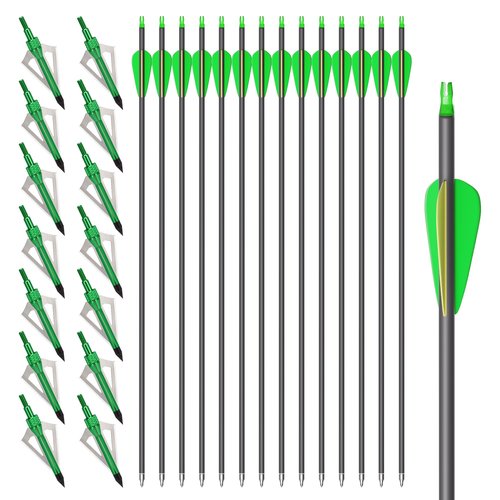 NorthSpoor 14-pcs 30-Inch Carbon Arrows,with 100-Grain Hunting Broadhead, Arrow with Removable Tips Shaft Spine 500 for Both Compound Bow and Recurve Bows
