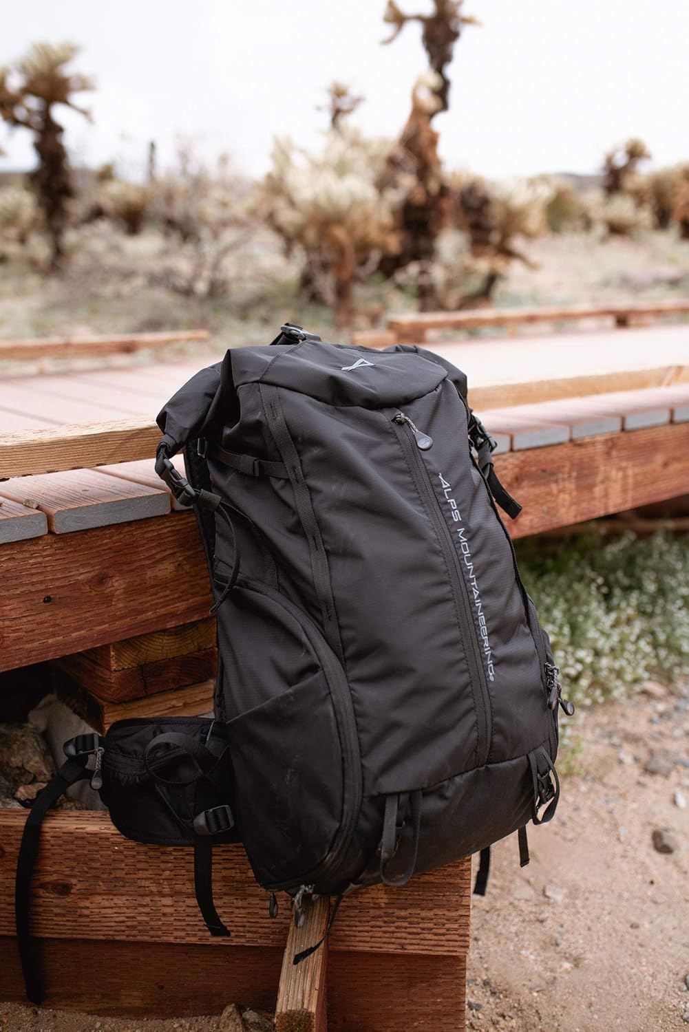 ALPS Mountaineering Tour 40L Day Backpack