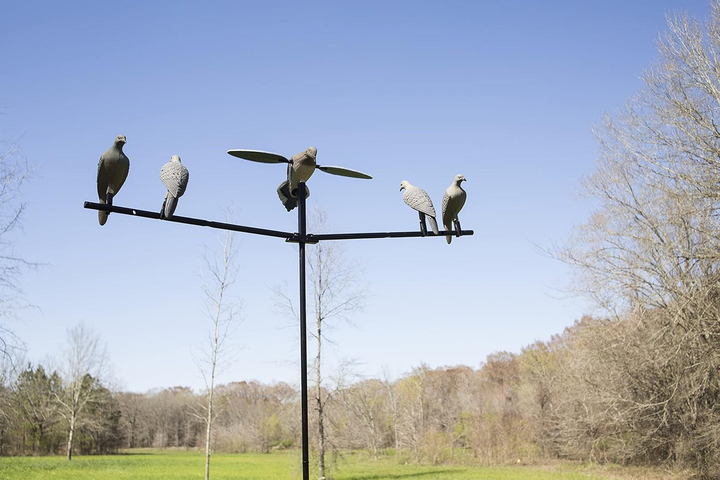 MOJO Outdoors Dove Hunting Decoys and Accessories – (Choose Style)