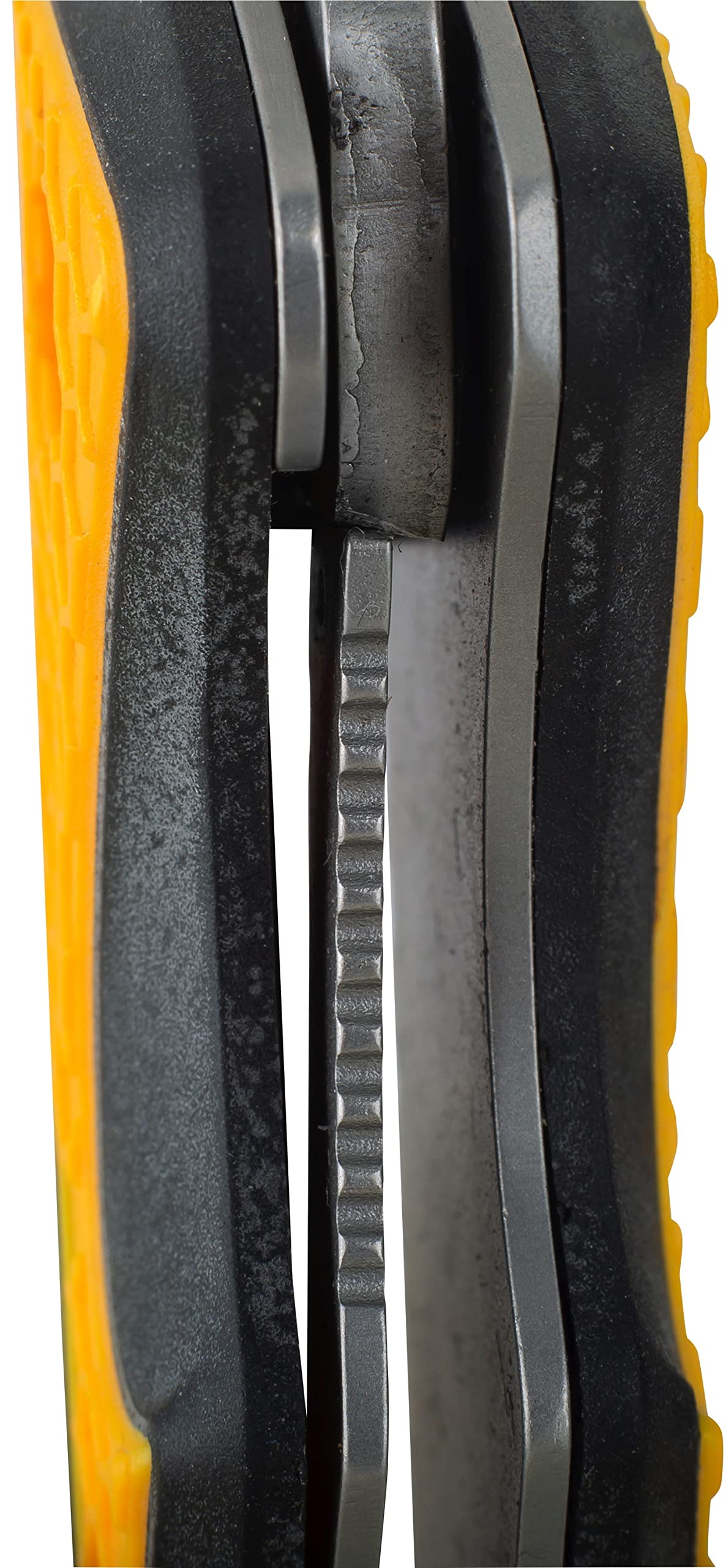 Cat 7-3/4 Inch Drop Point Folding Pocket Knife with Glass Break and Carabiner, Camping, Outdoors, Handy Pocket Clip, and Dual Thumb Studs, Every Day Carry - 980524