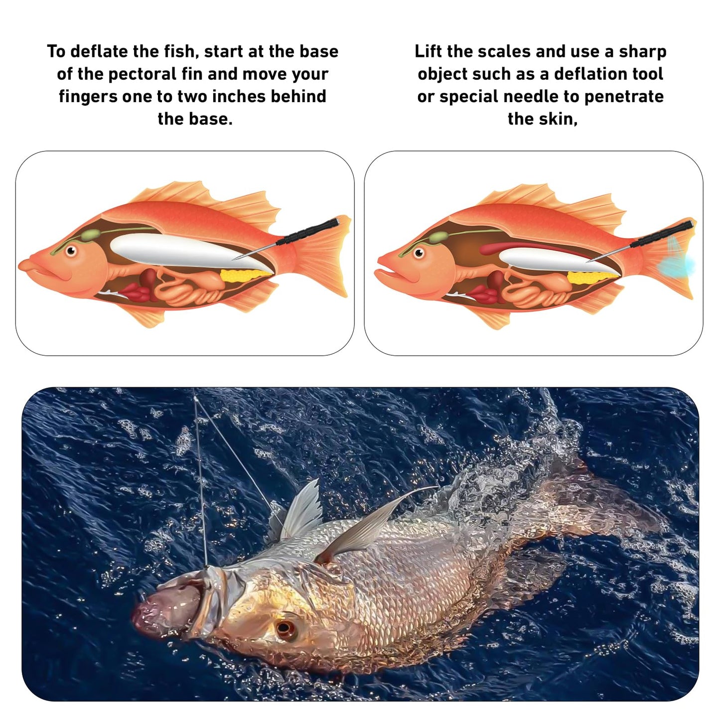 GOLDEN J Combination Fish Venting Tool Saltwater Fishing, Hidden Storage,Used to Vent Deep Sea Fish, Releasing Pressure and Allowing The Fish to Return to The Sea, an Essential Tool for The Angler