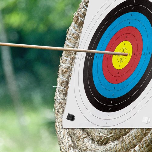 Highwild Standard Archery Paper Targets - 16X16in - 10 Ring Bow and Arrow Targets - Hunting Archery Accessories for Target Practice - 30 Pack