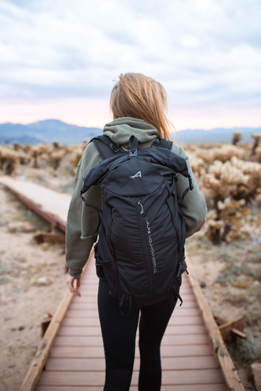 ALPS Mountaineering Tour 40L Day Backpack