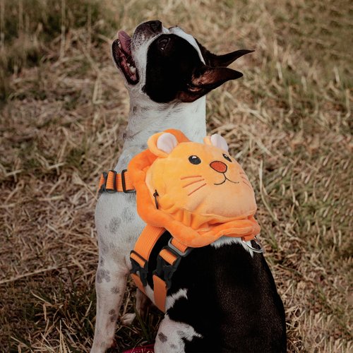 ROZKITCH Dog Backpack Harness, Soft and Adjustable Pet Saddle No Pull Bag with D-Ring for Small Medium Dogs, Cute Lion Design for Outdoor Travel, Walking, and Hiking Animal Self Carrier Bag M