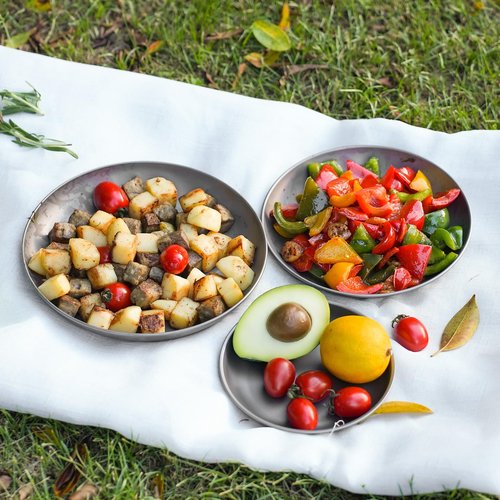 MAXCOOK Pure Titanium Camping Plate, 8.66 Inch Ultralight Durable Dish Plate Cookware, Outdoor Large Titanium Backpacking plate for Camping Hiking Kitchen (22 cm)
