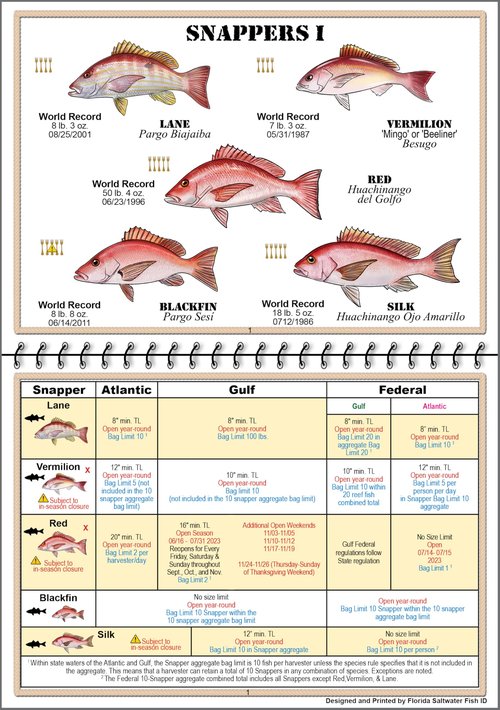 Florida Saltwater Fish Identification Book with FWC Rules, Regulations, Limits, and Sizes with 90+ Marine and Shark Photographs, Waterproof Fishing Guide, Angler and Fishermen Booklet