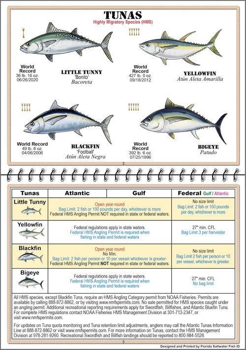 Florida Saltwater Fish Identification Book with FWC Rules, Regulations, Limits, and Sizes with 90+ Marine and Shark Photographs, Waterproof Fishing Guide, Angler and Fishermen Booklet