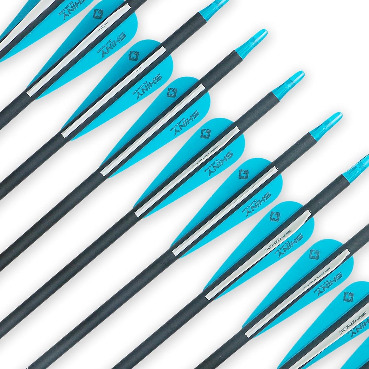 30Inch Carbon Arrow Practice Hunting Arrows with Removable Tips for Compound & Recurve Bow(Pack of 12)