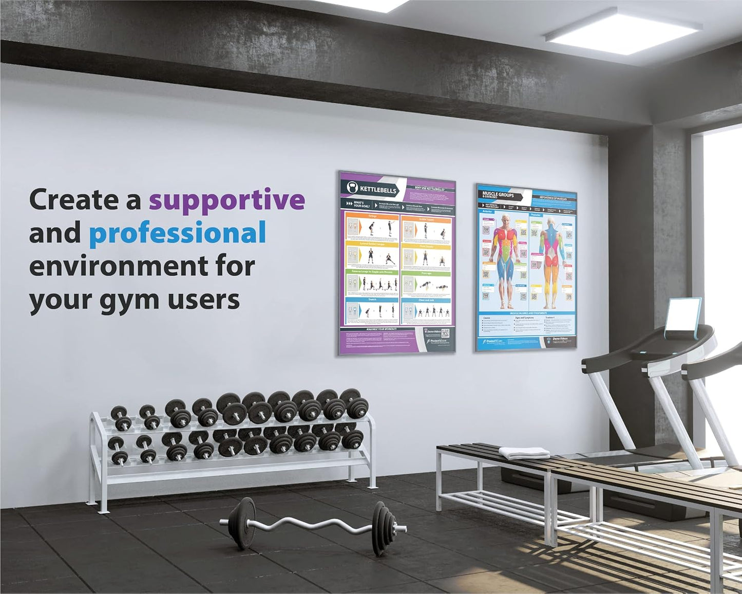 Muscle Group Workout Posters Set | Laminated Home Gym Exercise Charts 33” x 23.5” | Free Video Training Support