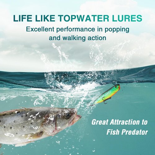 FLISSA 5PCS Top Water Fishing Lures Kits, Bass Fishing Lures for Freshwater & Saltwater, Realistic Hard Bait, Popper Fishing Lure with Treble Hooks for Trout, Bass, Salmon, Walleye Fishing