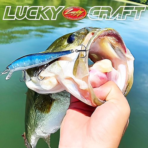 LUCKY CRAFT Lightning Pointer 110SP Fishing Lures, 4-1/2” Suspending Jerkbait Bass Lure, 6ft Depth Hard Bait, Freshwater Trout Lures, Premium Fishing Gear, 272 MS Ghost Minnow