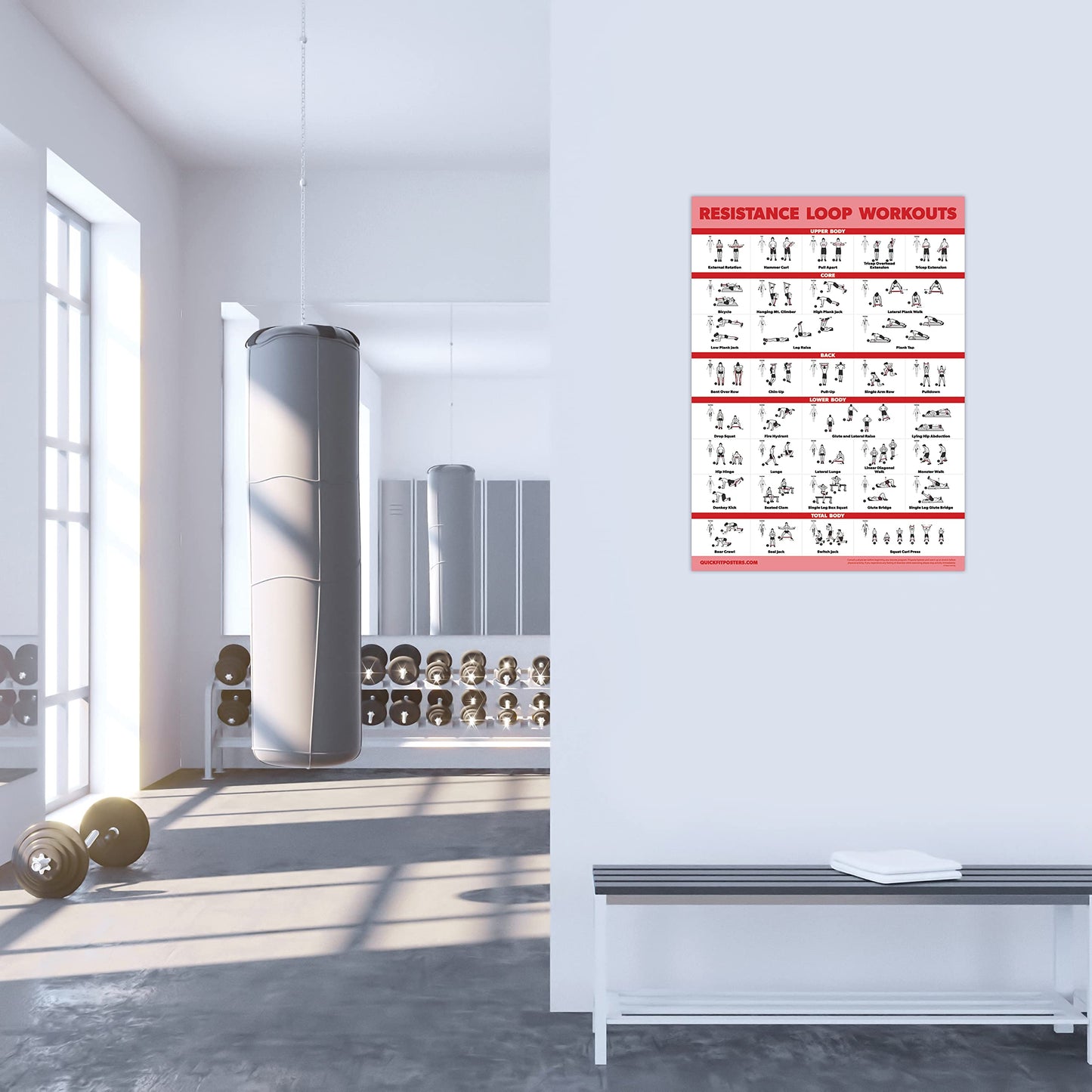 Palace Learning 2 Pack - Resistance Bands and Resistance Loops Workout Posters - Set of 2 Laminated Charts - Resistance Band Tubes and Loops Exercise Charts [Light] (18 x 24, LAMINATED)