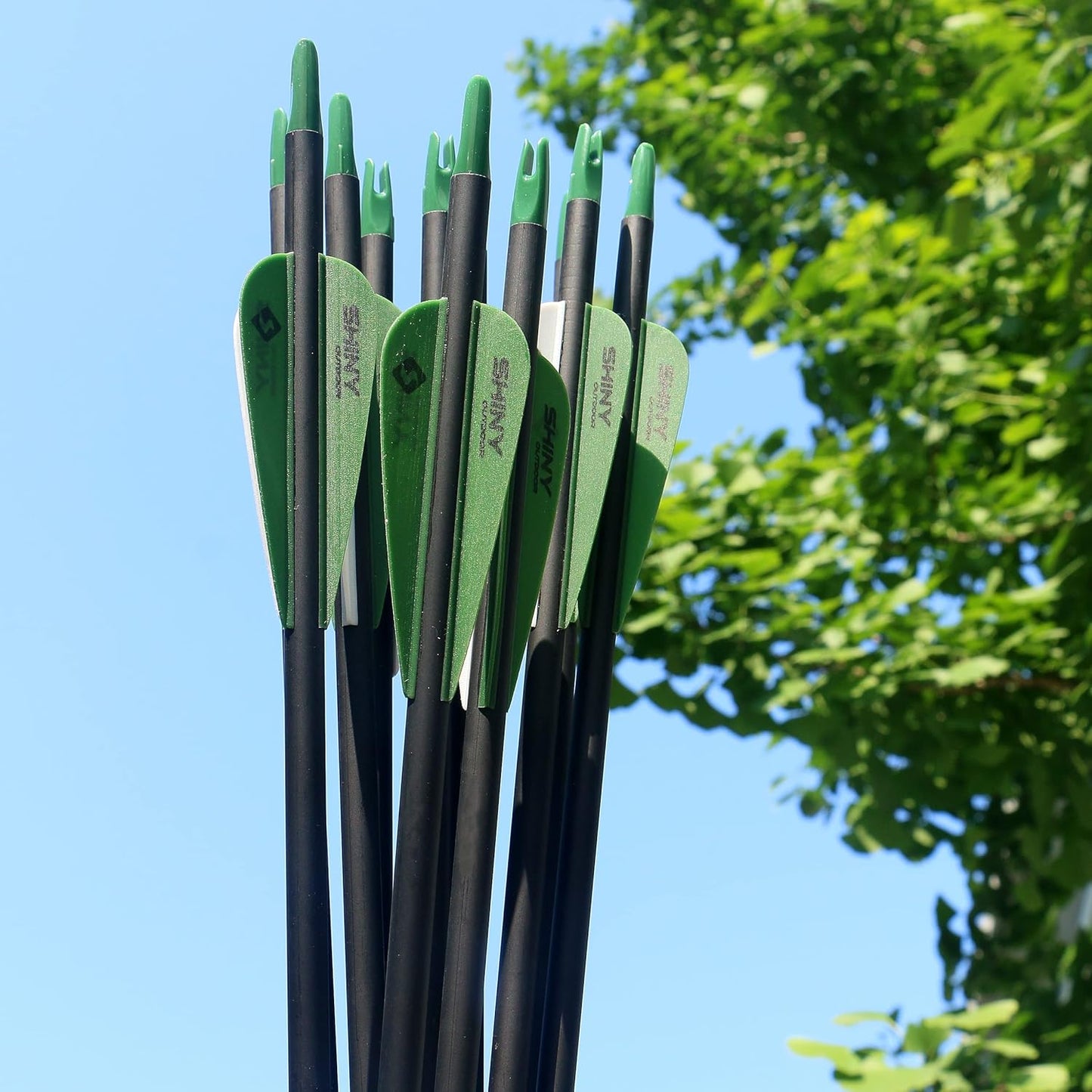 30Inch Carbon Arrow Practice Hunting Arrows with Removable Tips for Compound & Recurve Bow(Pack of 12)