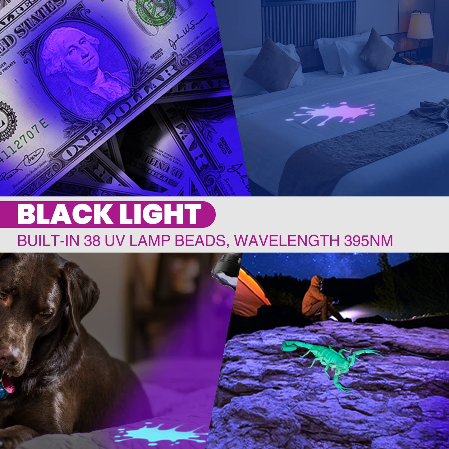EverBrite 2-in-1 Mini Lanterns and LED UV&White Light Flashlight