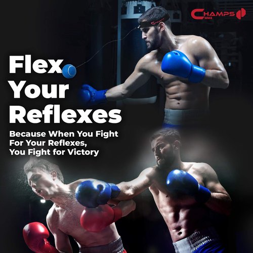 Champs MMA Reflex Ball Set of 4 + Leg Stretcher Bundle - Improve Flexibility, Range of Motion, Reflexes and Hand Eye Coordination