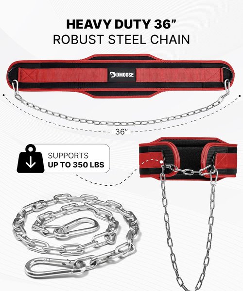 DMoose Fitness Dip Belt for Weight Lifting, Pullup, Squats & Dips - 36" Robust Steel Chain, Comfortable Neoprene Padding Supports 350lbs - Gym Weight Belt for Strength Training Workout & Weightlifting