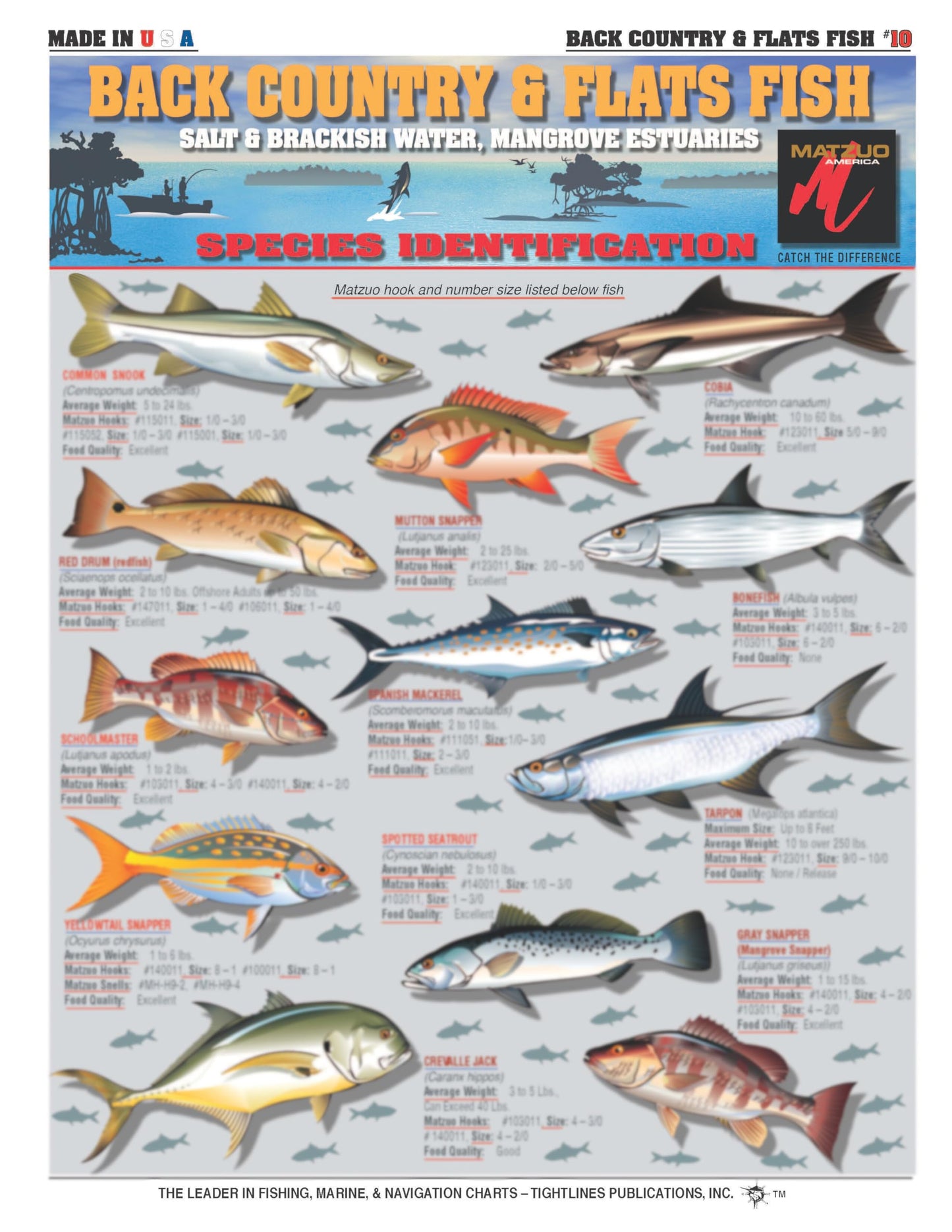 Fishermen's Saltwater Fish Identification Set - Waterproof Quick Reference Guide | Portable & Built to Last | Double-Sided & Easy to Read