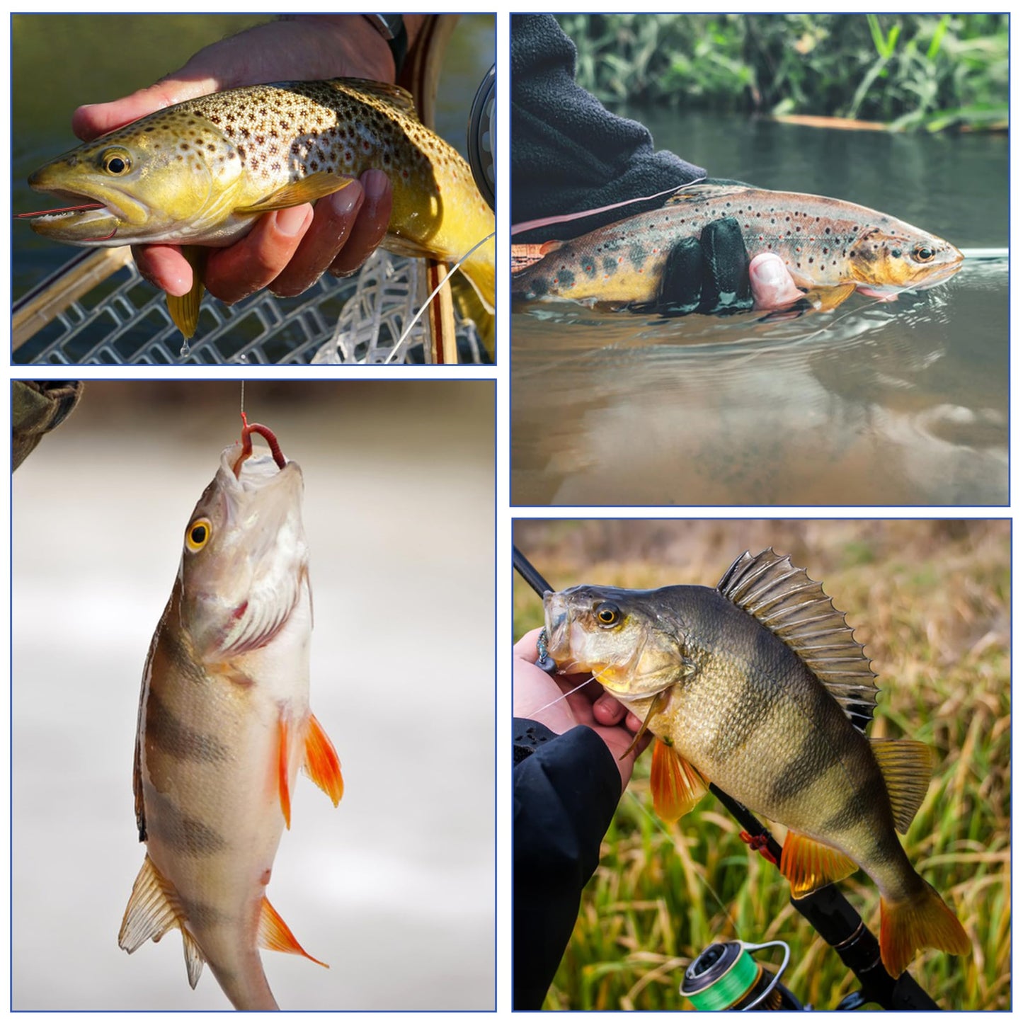 Aberdeen Fishing Hooks Set,150pcs Crappie Panfish Hooks Long Shank Aberdeen Hooks High Carbon Steel Assorted Small Light Wire Fishing Hooks for Bass Trout Catfish Sunfish Freshwater