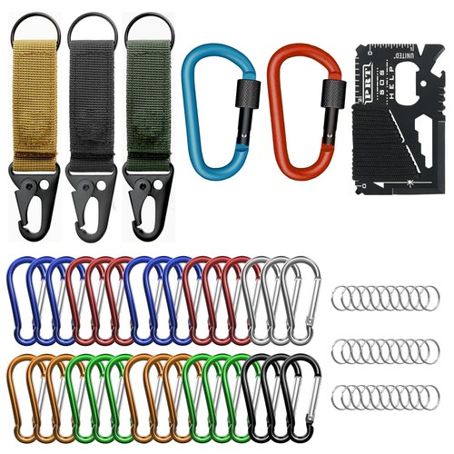 Small Carabiner Clip Keychain Keyring - Pack of 25/66 Carabiner for Keys 3" + 1.8" Keychain Clip, Locking carabiners, Keyring, Nylon Webbing, Wallet Tool for Camping, Hiking, Travel Outdoor (66)