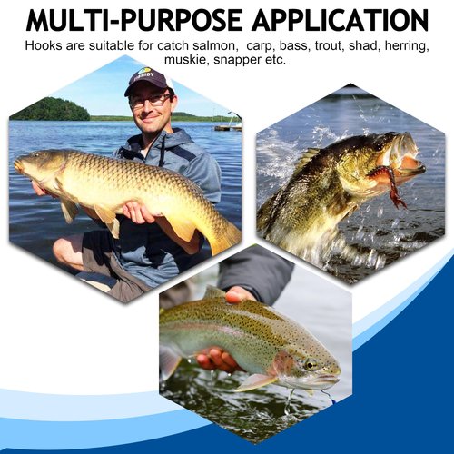Barbless Fishing Hooks, 250/300pcs Carp Fishing Fly Tying Hooks Trout Circle Curve Shank Crank Carp Hair Bait Rigs for Freshwater Saltwater