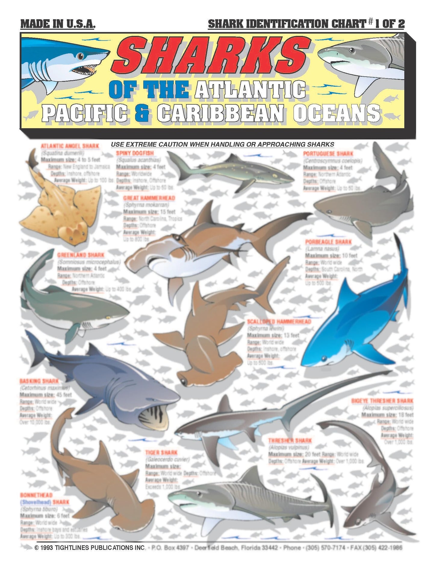 Fishermen's Saltwater Fish Identification Set - Waterproof Quick Reference Guide | Portable & Built to Last | Double-Sided & Easy to Read