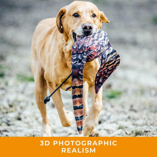 The Original Clone® Realistic Game Bird Dog Training Dummies - Pheasant, Partridge & Snipe Gundog Training Dummy (Cock Pheasant Dead Bird Dummy)